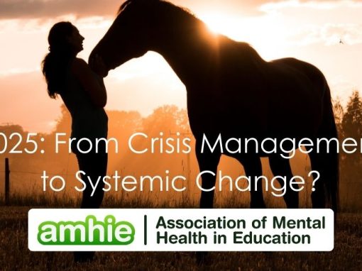 2025: From Crisis Management to Systemic Change?