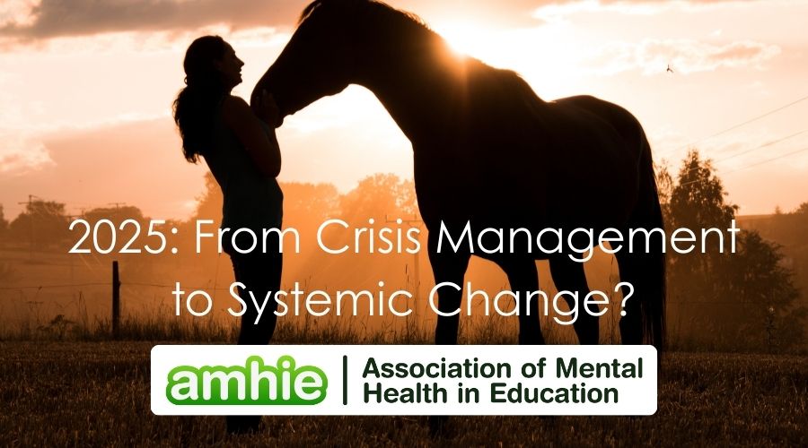 2025: From Crisis Management to Systemic Change?