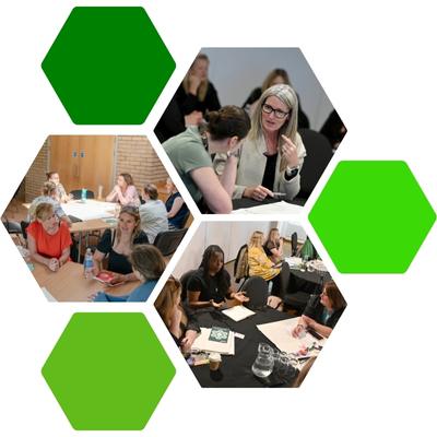 AMHIE Conferences: Colleagues and Networking