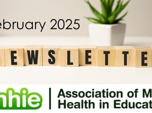 AMHIE February Newsletter 2025