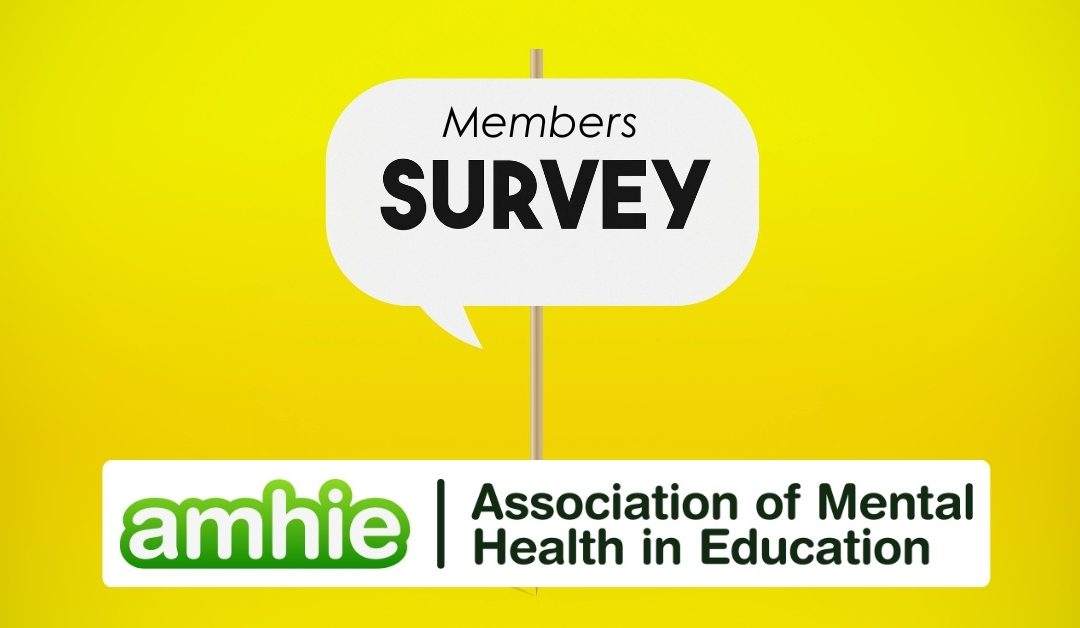 AMHIE School meals survey results