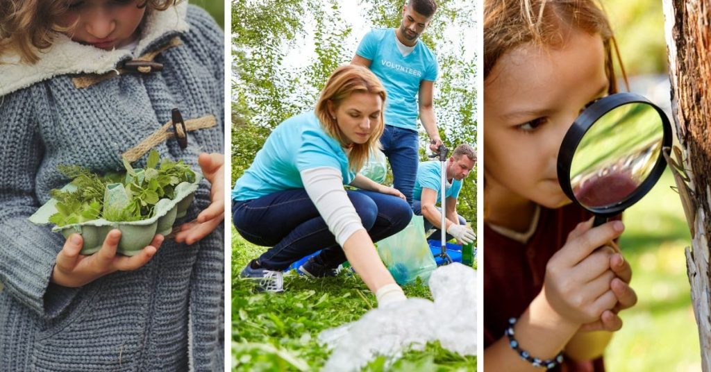 Ideas to get your class working outside in the sunshine this summer 