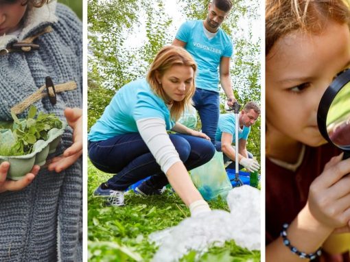 10 ideas to get your class working outside this week