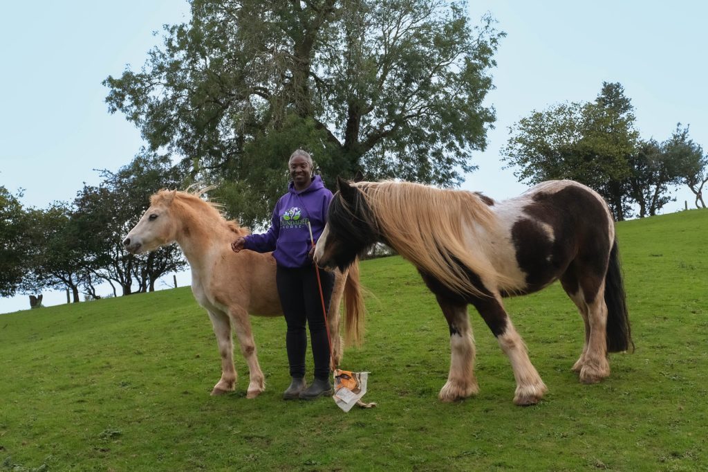 Maxine Smith with her two horses