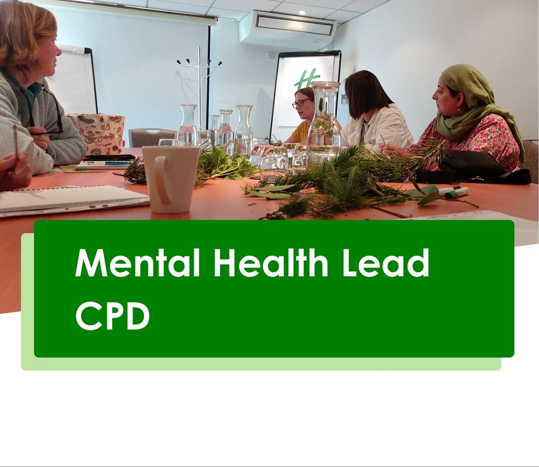 Mental Health Lead CPD sessions<br />
