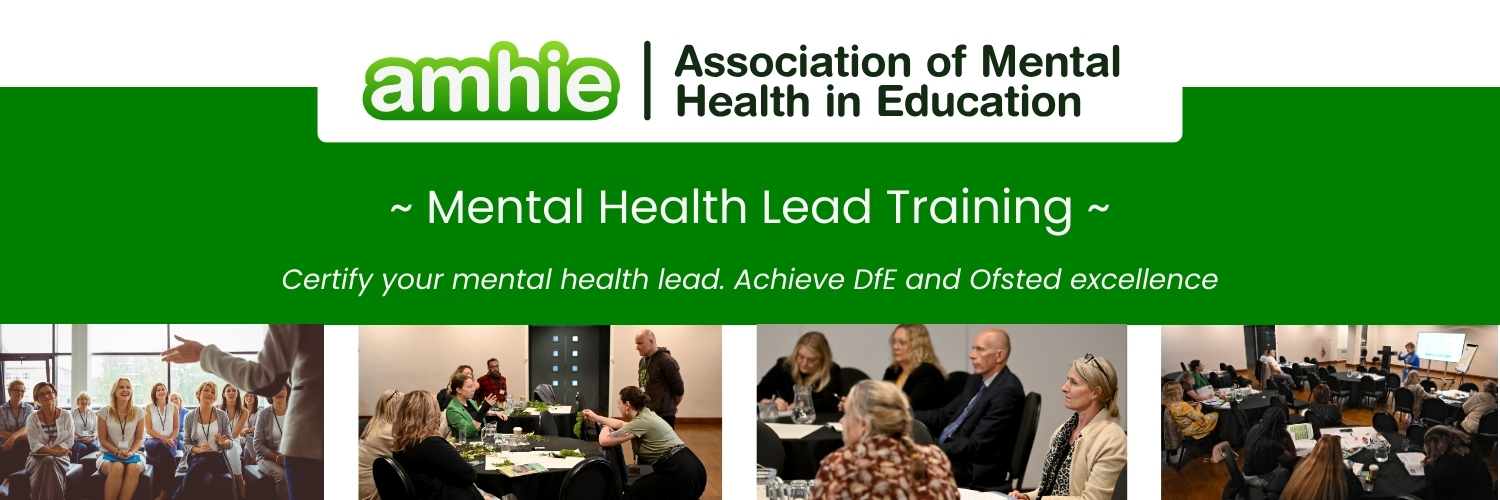 Mental Health Lead training for all roles and phases.