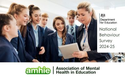 DfE's National Behaviour Survey