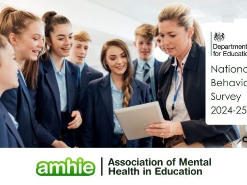 National Behaviour Survey Results 2024-2025
