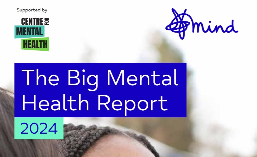 New report: The Big Mental Health Report 2024