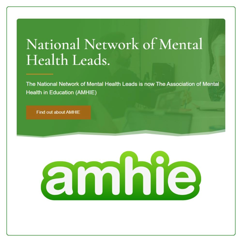 Our story The history of AMHIE Our story, the history of AMHIE with an image of the National Network of Mental Health Leads