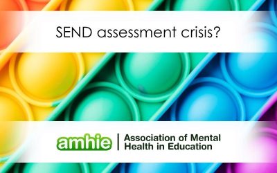 SEND assessment crisis