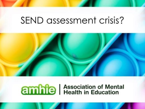 SEND assessment crisis and the Budget 2025