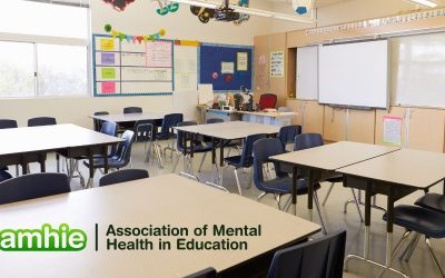 School isolation and wellbeing