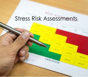 Stress Risk Assessments short CPD course